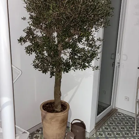 La Petite Piete Nyaraló